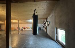 Casa P+M, 250 mp utili, 577 mp teren, Pielesti (aproape de padure)