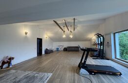 Casa P+M, 250 mp utili, 577 mp teren, Pielesti (aproape de padure)