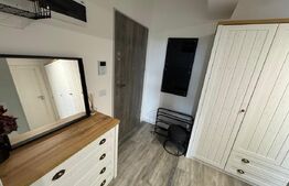 Garsoniera de vanzare, 44 mp, zona Cornitoiu