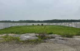 Teren intravilan 600 mp, ansamblu rezidential, apa, curent, canalizare, Pielesti