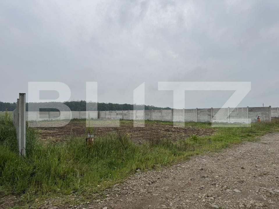 Teren de vânzare Pielești - 171022TV | BLITZ Craiova | Poza2