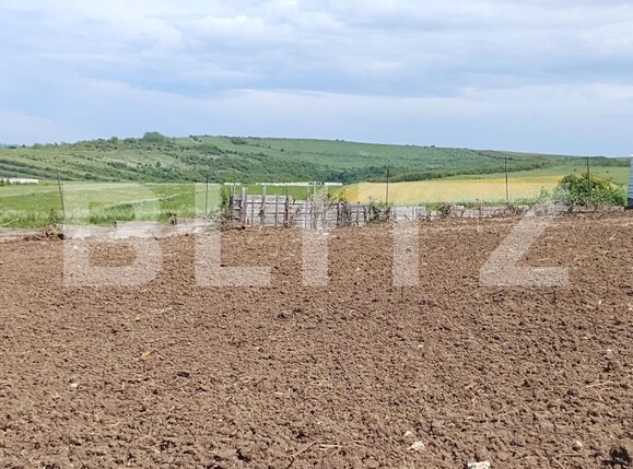 Teren de vânzare Simnicu de Sus  - 171179TV | BLITZ Craiova | Poza3