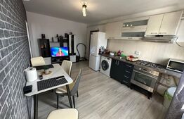Apartament 2 camere,50 mp, zona Craiovita