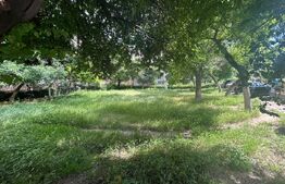 Teren intravilan, 232 mp, cartier Rovine