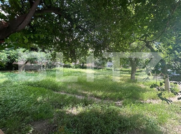 Teren de vânzare Rovine - 171378TV | BLITZ Craiova | Poza3