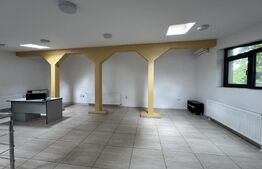 Cladire comerciala, 360 mp, 335 mp teren, zona centrala