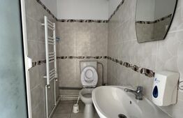 Cladire comerciala, 360 mp, 335 mp teren, zona centrala