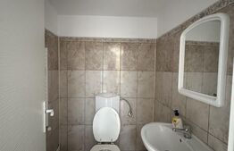 Cladire comerciala, 360 mp, 335 mp teren, zona centrala