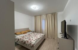  Casa P+1,  120 mpu si teren 320 mp, utilata-mobilata, zona Damila! 