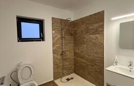  Casa P+1,  120 mpu si teren 320 mp, utilata-mobilata, zona Damila! 