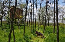 Teren intravilan, de vanzare, 2276 mp, zona lacul Geormane