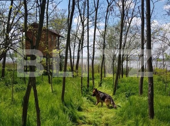 Casa de vânzare 2 camere Exterior Sud - 171460CV | BLITZ Craiova | Poza2