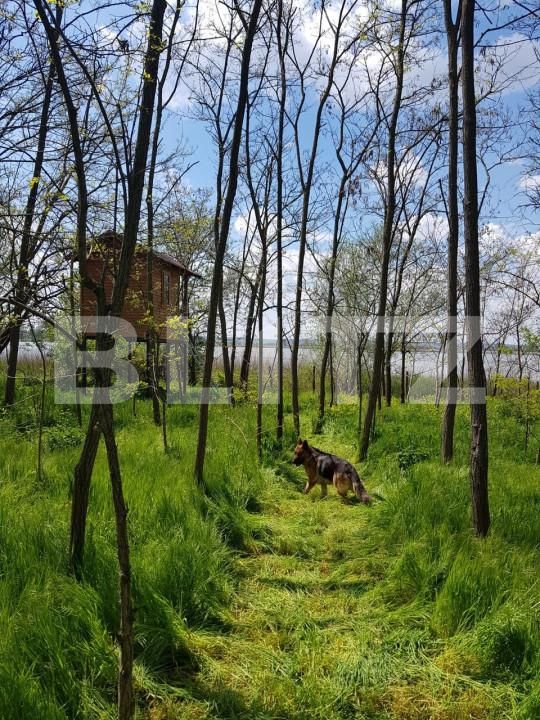 Casa de vânzare 2 camere Exterior Sud - 171460CV | BLITZ Craiova | Poza2