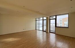 Penthouse pe 2 etaje la casă, 144 mp utili cu 113 mp terasă, Brazda lui Novac