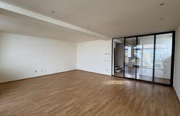 Penthouse pe 2 etaje la casă, 144 mp utili cu 113 mp terasă, Brazda lui Novac