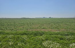 Teren intravilan 1089-1018 mp in zona Pielesti