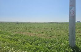 Teren intravilan 1089-1018 mp in zona Pielesti