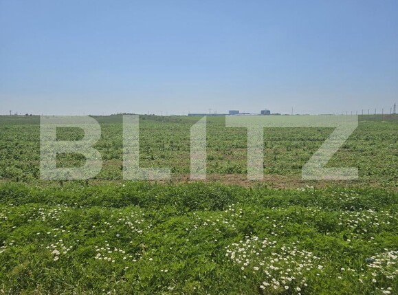 Teren de vânzare Periferie - 171600TV | BLITZ Craiova | Poza4