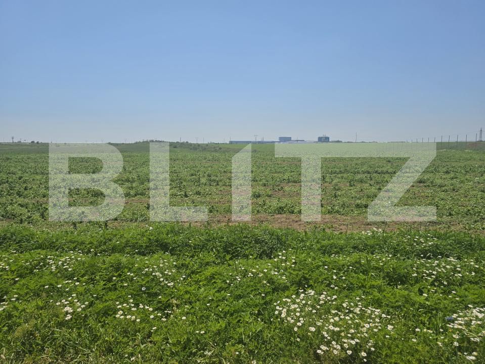 Teren de vânzare Periferie - 171600TV | BLITZ Craiova | Poza4