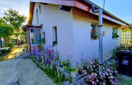 Casă in Dudovicești, teren 950 mp