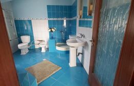 Casa D+P+E, spatiu comercial, 527 mp teren, Str Paltinis, 0% comision 