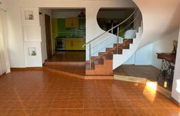 Casa D+P+E, spatiu comercial, 527 mp teren, Str Paltinis, 0% comision 