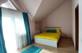 Casa D+P+E, spatiu comercial, 527 mp teren, Str Paltinis, 0% comision 