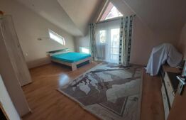 Casa D+P+E, spatiu comercial, 527 mp teren, Str Paltinis, 0% comision 