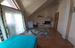 Casa D+P+E, spatiu comercial, 527 mp teren, Str Paltinis, 0% comision 