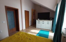 Casa D+P+E, spatiu comercial, 527 mp teren, Str Paltinis, 0% comision 