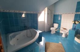 Casa D+P+E, spatiu comercial, 527 mp teren, Str Paltinis, 0% comision 