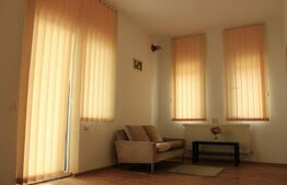 Casa D+P+E, spatiu comercial, 527 mp teren, Str Paltinis, 0% comision 