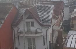 Casa D+P+E, spatiu comercial, 527 mp teren, Str Paltinis, 0% comision 