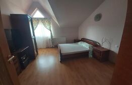 Casa D+P+E, spatiu comercial, 527 mp teren, Str Paltinis, 0% comision 