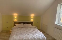 Casa zona Damila , suprafață utila 115 mp , teren 277 mp