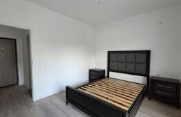Apartament 2 camere, 57 mp, plus 59 mp terasa, zona Damila