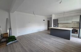 Apartament 2 camere, 57 mp, plus 59 mp terasa, zona Damila