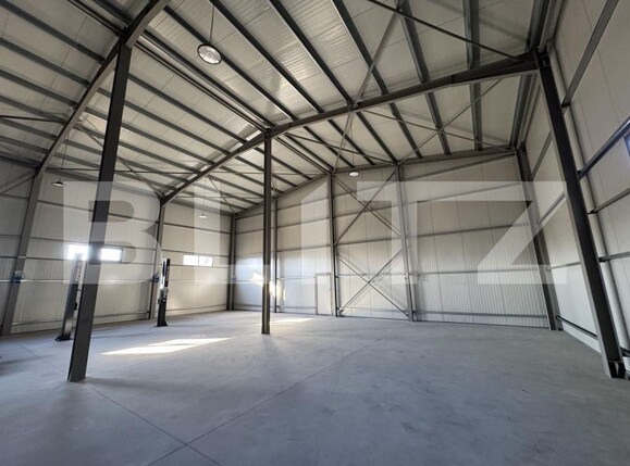 Spațiu industrial de închiriat Malu Mare - 171838SII | BLITZ Craiova | Poza3