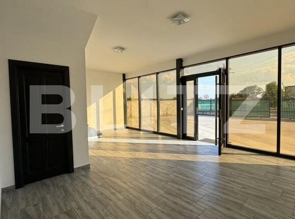 Spațiu industrial de închiriat Malu Mare - 171838SII | BLITZ Craiova | Poza6