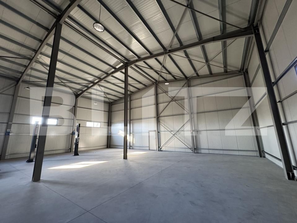 Spațiu industrial de închiriat Malu Mare - 171838SII | BLITZ Craiova | Poza3