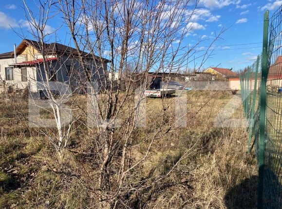 Teren de vânzare Romanesti - 171924TV | BLITZ Craiova | Poza2