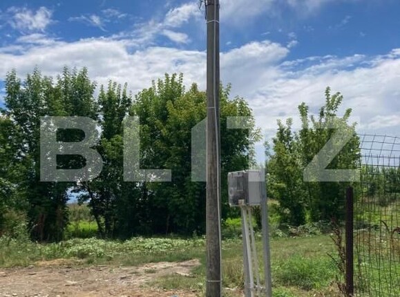 Teren de vânzare Romanesti - 171924TV | BLITZ Craiova | Poza4