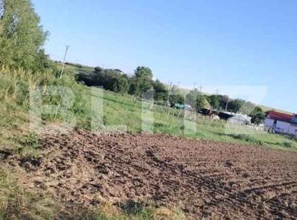 Teren de vânzare Ghercesti - 171985TV | BLITZ Craiova | Poza2