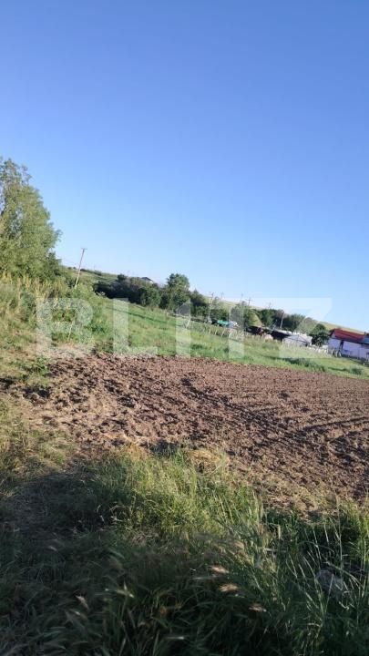 Teren de vânzare Ghercesti - 171985TV | BLITZ Craiova | Poza2
