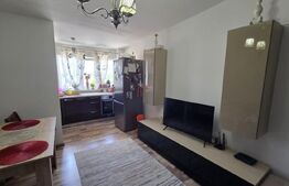 Apartament 3 camere, decomandat, mobilat si utilat - Brazda lui Novac