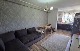 Apartament 3 camere, decomandat, mobilat si utilat - Brazda lui Novac
