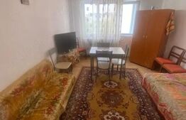 Camera de camin, 22 mp utili, zona George Enescu