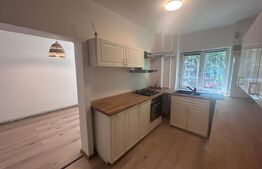 Apartament cu 2 camere, centrala si AC, parter, cartier 1 Mai-Confectii