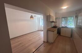 Apartament cu 2 camere, centrala si AC, parter, cartier 1 Mai-Confectii