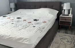 Casa moderna  P+E, 145 mp utili, 417 mp curte in zona Metro